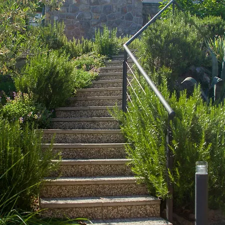 Salvia Abbázia