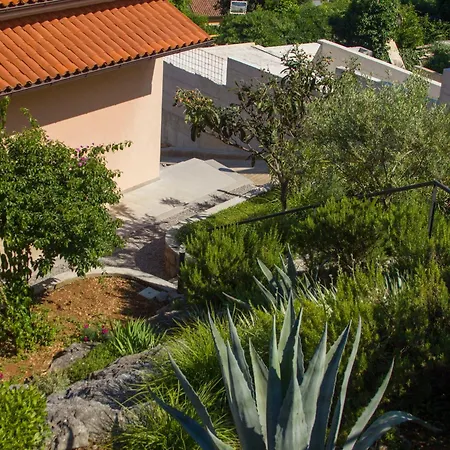 Salvia * Опатия