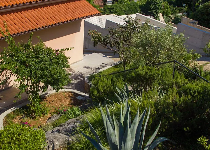 Salvia * Опатия